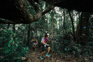 BIB: 
                            <button type="button" onclick="openModal(25391177)" class="btn btn-primary btn-sm float-right btn-popup" data-toggle="modal" data-target=".modal-high-quality">
                        <i class="fas fa-shopping-cart"></i> Add to Cart
                    </button>
                                            <button type="button" onclick="isThisMe(25391177, true)" class="btn btn-success btn-sm float-right btn-popup btn-isme hidden" data-toggle="tooltip" data-placement="bottom" title="นี่คือรูปของคุณใช่ไหม คลิกที่นี่เพื่อเอาเข้าอัลบั้ม">
                        <i class="fas fa-plus"></i> Add to album
                    </button>
                    <button type="button" onclick="isThisMe(25391177, false)" class="btn btn-warning btn-sm float-right btn-popup btn-isnotme hidden">
                        <i class="fas fa-ban"></i> Remove from album
                    </button>